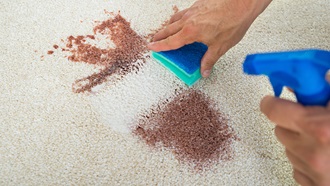 limpiando alfombra